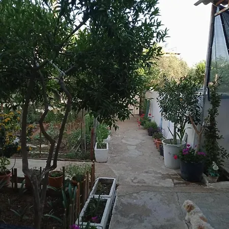 Large And Quite House In Bodrum Center Bodrum