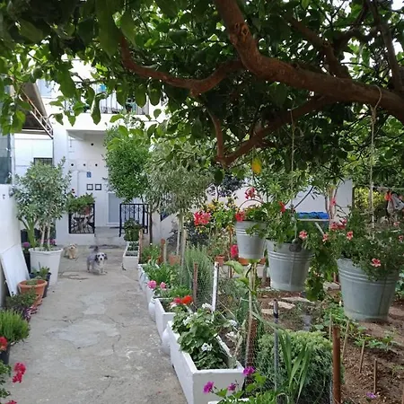 Large And Quite House In Bodrum Center * Bodrum